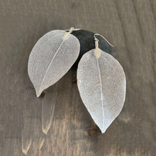 Load image into Gallery viewer, Real Leaf Sterling Silver Earrings
